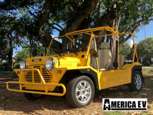 golf cart financing, sunny isles golf cart financing, easy cart financing