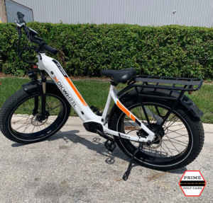 e-bike rental, electric bike for sale, electric bicycle